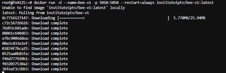 docker部署